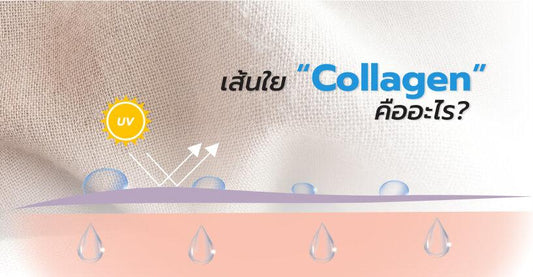 เส้นใย 'Collagen' คืออะไร?
