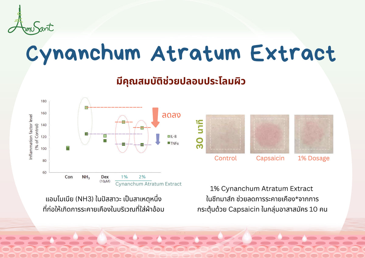Amusant By Enfant ครีมทาผื่นผ้าอ้อม ครีมทาผื่นเด็ก ปกป้องผิวลูกน้อย ลดการระคายเคือง บำรุงผิวแห้ง สูตรอ่อนโยน EC100L